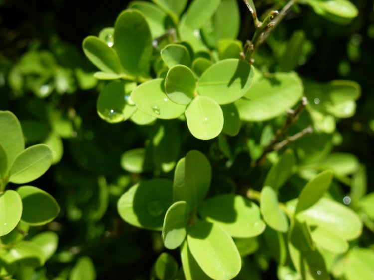 Сочи-Адлер: Южное Взморье - виртуальное путешествие по территории санатория