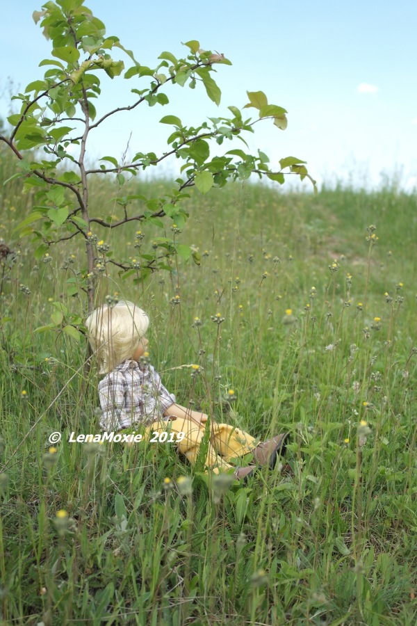 Есенинские тропинки. Часть 2 (фото 9)