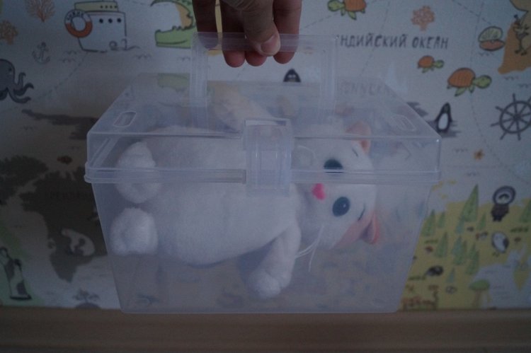 Как Агаша кошечку шила — Другие хобби и увлечения: сад