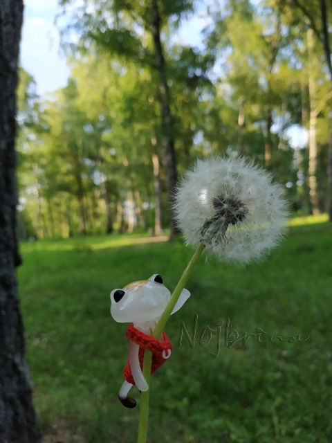 Wonderfrog. Красота в простоте