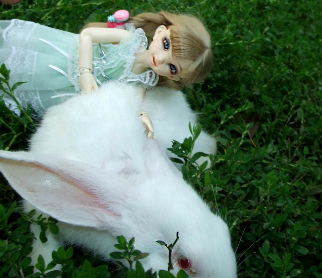 Кролики превращаются... превращаются... А котик улыбается) (фото 9)