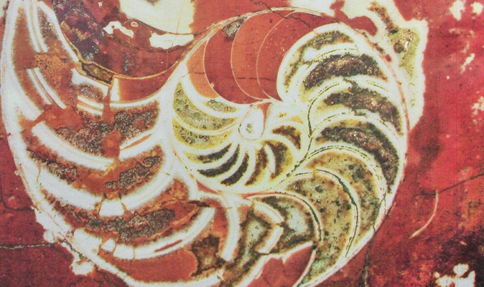 Звероящер и узоры времён динозавров в Московском метро (фото 7)