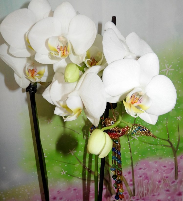 Колибри из бисера — Вышивка крестиком