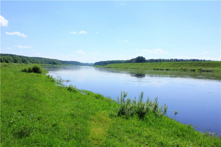 Эля в Иванишах. Twinkles Ella Chocolate