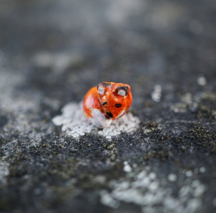 TinyLittleMiniatures - Авторские миниатюрные глиняные фигурки by Milia