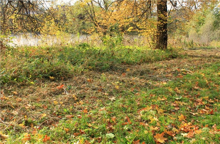 Путешествие Dal Hangry в Грузины