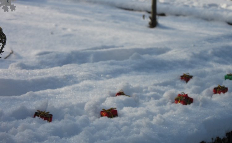 Зимнее катание Хелены — Куклы Takara Tomy (Такара): Licca (Ликка)