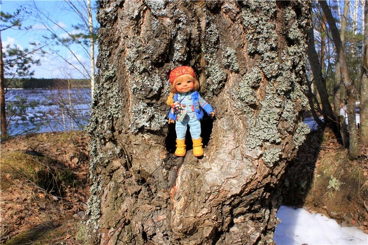 Весна в "Саду Камней" | Бэйбики Весна в "Саду Камней" — Куклы Meadow dolls (Медовушки): BJD (БЖД)