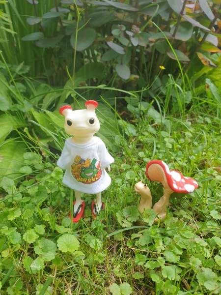 Лягушка Ванда и все-все-все