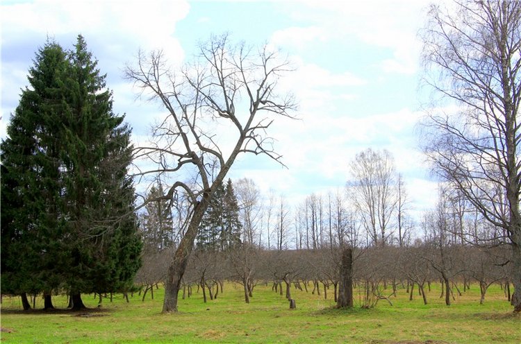 Усадьба Чукавино, Тверская область