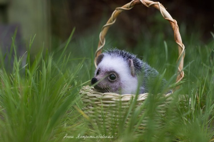 Ёжинька — Валяные игрушки из шерсти: сухое валяние
