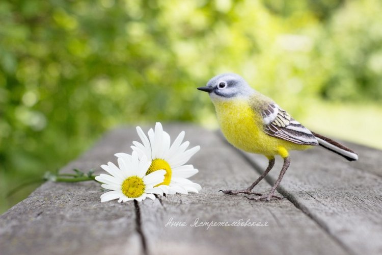 Жёлтая трясогузка — Валяные игрушки из шерсти: сухое валяние (фото 3)