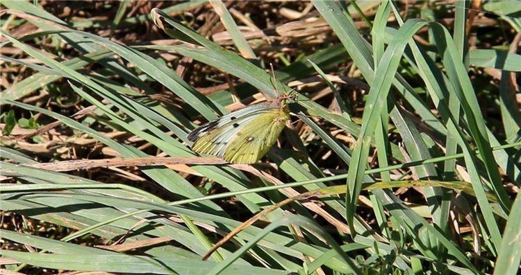 Старицкая Швейцария. Старицкие пещеры, д. Толпино, заключительная часть