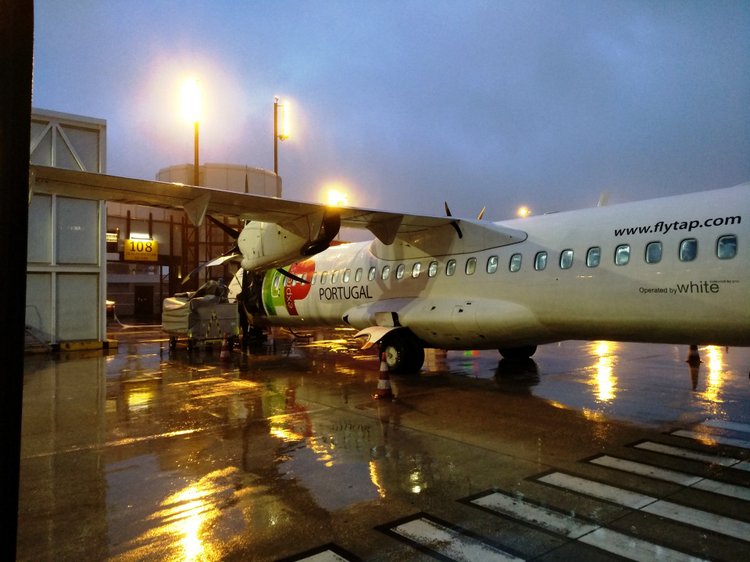 Тайна моего имени. Часть десятая. Португалия, Лиссабон. От Лесли просто нет житья