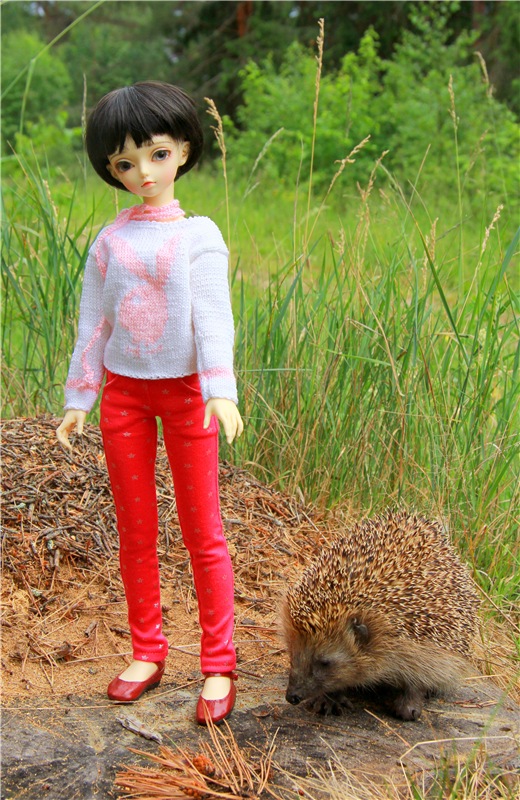 Девочка и Ёжик. Minifee Miyu FairlyLand | Бэйбики Девочка и Ёжик. Minifee Miyu FairlyLand