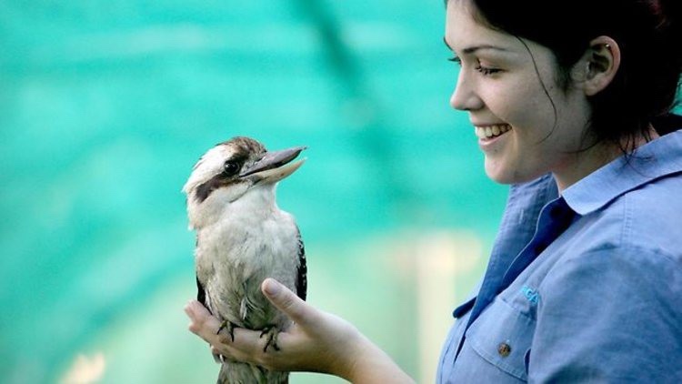 1 апреля – Международный День Смеха (фото 10)