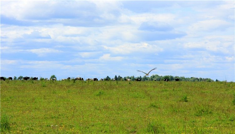 Путешествие с Бенни — Культура (фото 10)
