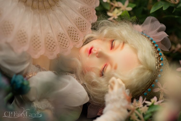 Fairyland выпустили новых минифи Майю (Minifee Maya) и фиплу Момо (Feeple Momo)