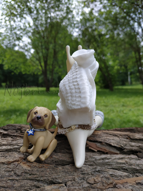 Wonderfrog. Красота в простоте