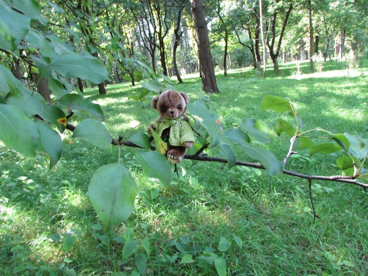 Малышня на прогулке в Бирюлёвском дендропарке