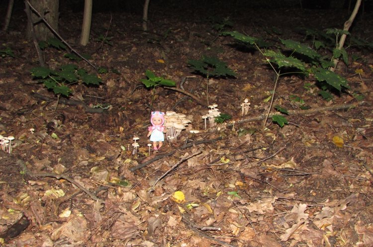 Веселое путешествие по Парку Измайлово - 2