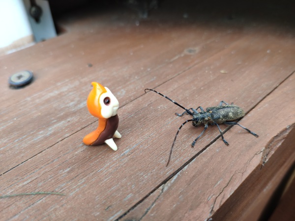 Лето с лягушками — Коллекционные куклы разных авторов (Разное): редкие бренды (фото 4)