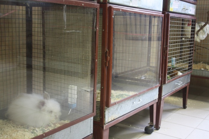 Псков. Эколого-биологический центр. Часть 2