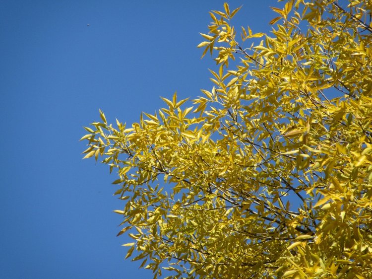 Выходной с Хеленой в Таганроге (фото 4)