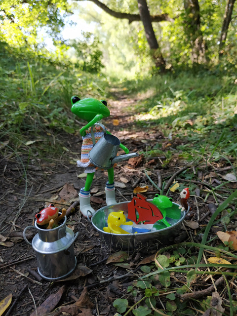 Wonderfrog. Красота в простоте. Часть 2