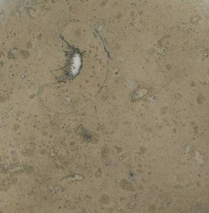 Звероящер и узоры времён динозавров в Московском метро