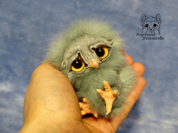 Совята в ожидании Новогодних праздников