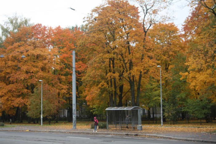Петербург: фрагменты впечатлений