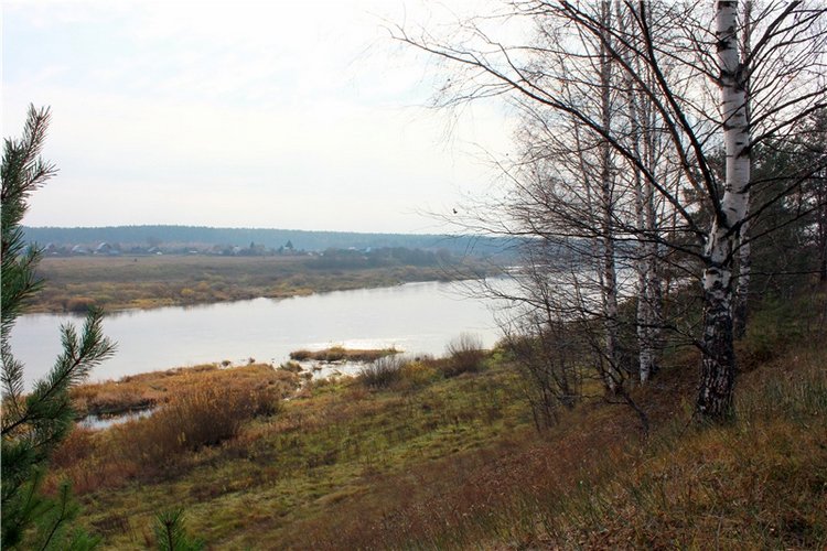 Гришутка — Винтажные куклы ГДР (Немки): Бигги