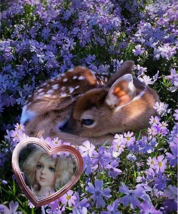 Зарисовки с Розой Аделиной