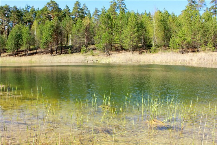 Долгая дорога к Волге. Custom Blythe Doll UFO Go Go Takara