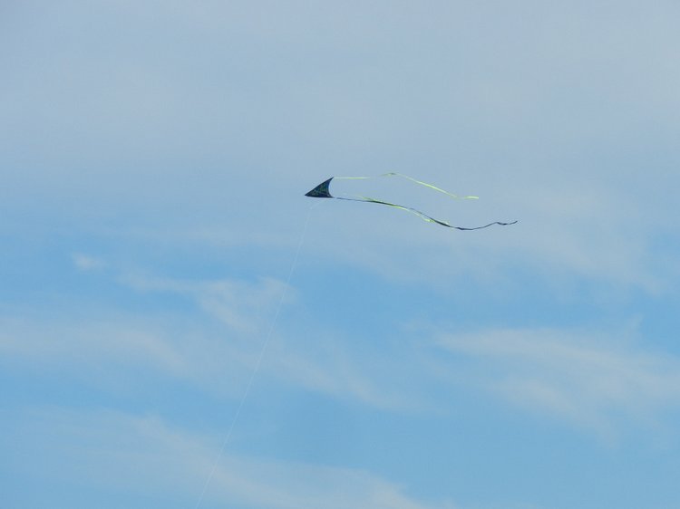 FELICITA или Счастье — Домашние коллекции кукол: фото собраний