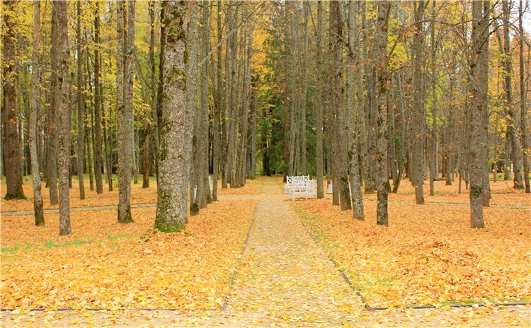 Золотая Осень в Берново с Имани. Mini Imani от Kaye Wiggs