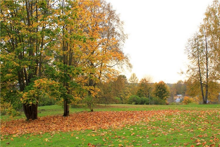 Золотая Осень в Берново с Имани. Mini Imani от Kaye Wiggs