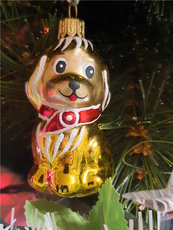 Новогоднее Волшебство 2021 года