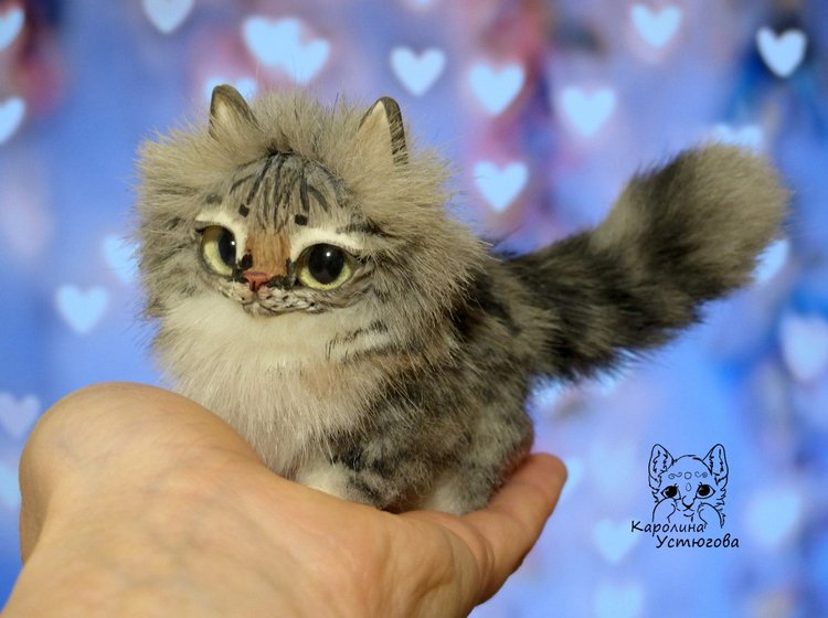 Котята Сибирской породы Табби и Мраморный биколор