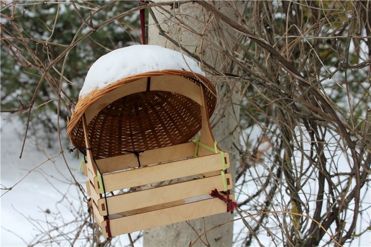 Тверской Ботанический Сад, заключительная часть