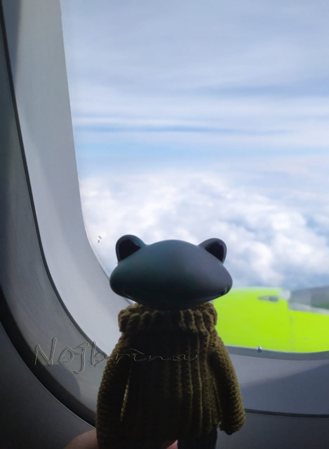 Большое путешествие Кензо. Арктика. Северный полюс (фото 6)