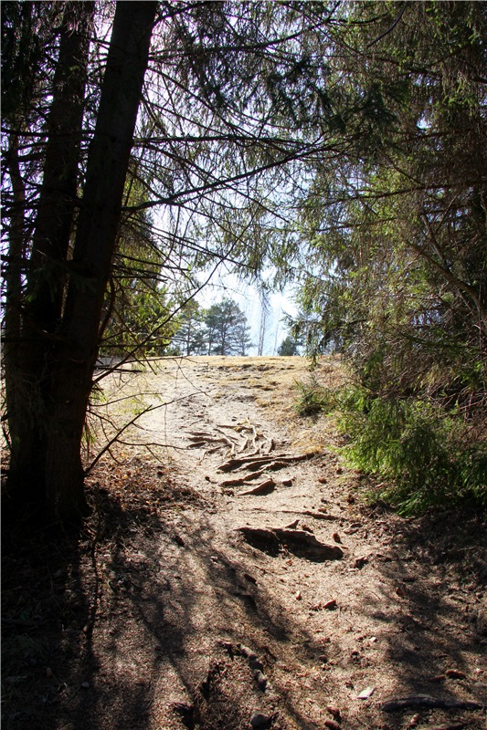 Апрельский день в Василёво, третья часть