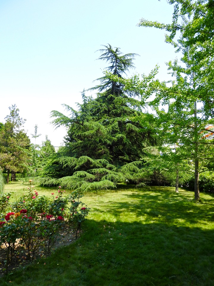 Краснодарский Край, Сочи-Адлер, Санаторий «Южное Взморье»