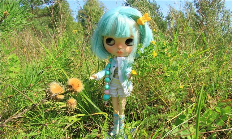 Инопланетянка Нийя. Custom Blythe Doll UFO Go Go Takara