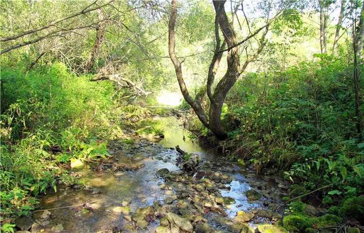 Старицкая Швейцария. Путешествие с Сашей, продолжение. Уникальная кукла от Сильвии Наттерер