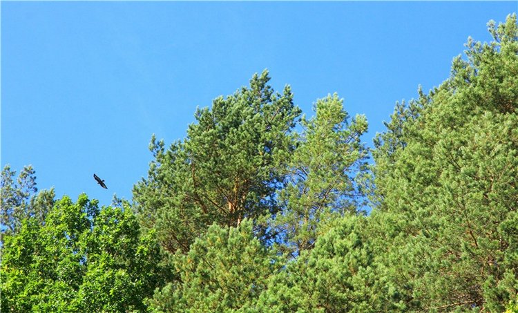 Старицкая Швейцария. Старицкие пещеры, д. Толпино, заключительная часть