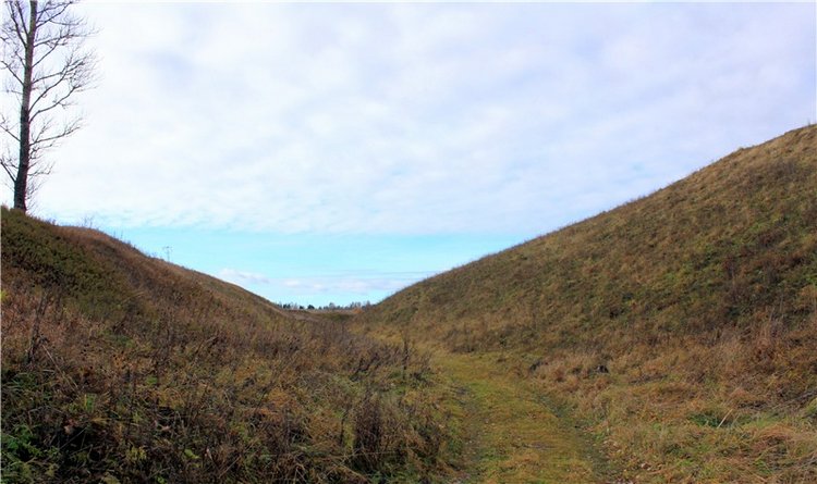 Осеннее путешествие с Мишей. Zwergnase Mischa | Бэйбики Осеннее путешествие с Мишей. Zwergnase Mischa