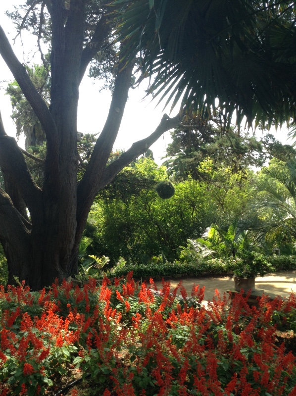 Путешествие Минуш в Испанию. Каталония. Ч.3. Райские сады