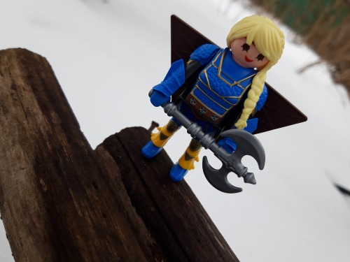 Playmobile: How To Train Your Dragon | Бэйбики Playmobile: How To Train Your Dragon (фото 6)